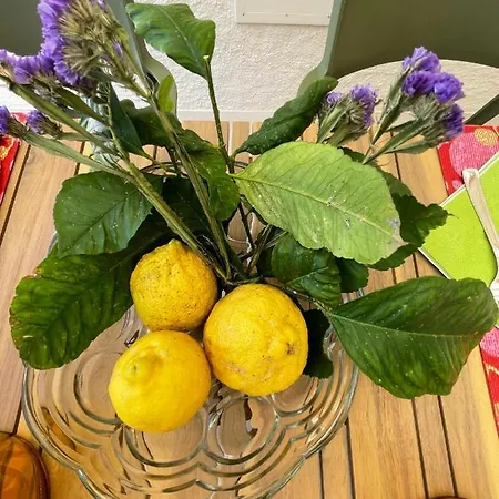 Stazzu Lu Chissoni * Luogosanto