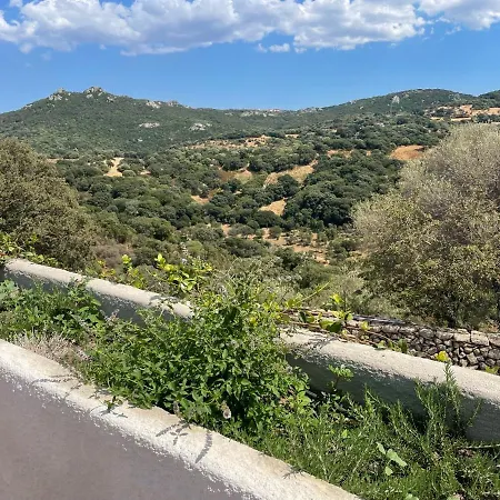 Stazzu Lu Chissoni *