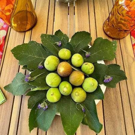 Stazzu Lu Chissoni Semesterbostad *