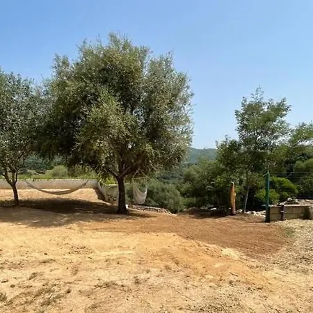 Stazzu Lu Chissoni * Luogosanto