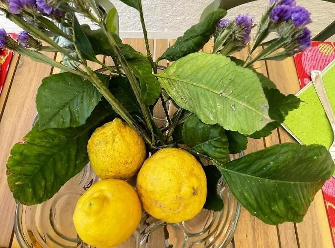 Stazzu Lu Chissoni * Luogosanto